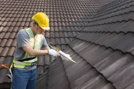 Best Solar Panel Roofing Installation  in USA